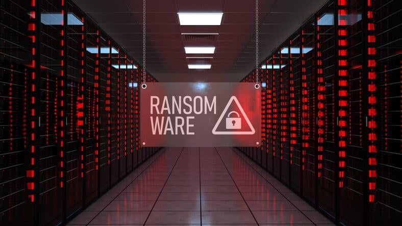 Your Money or Your Data! A Guide to Ransomware